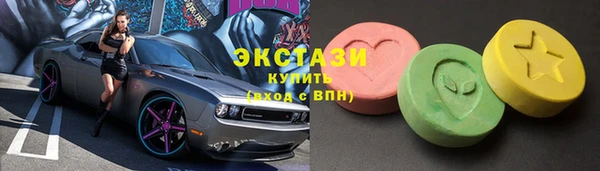 мдпв Елабуга