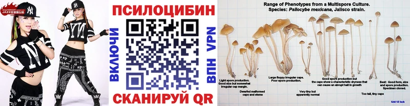 Галлюциногенные грибы GOLDEN TEACHER  MEGA ONION  Судак 